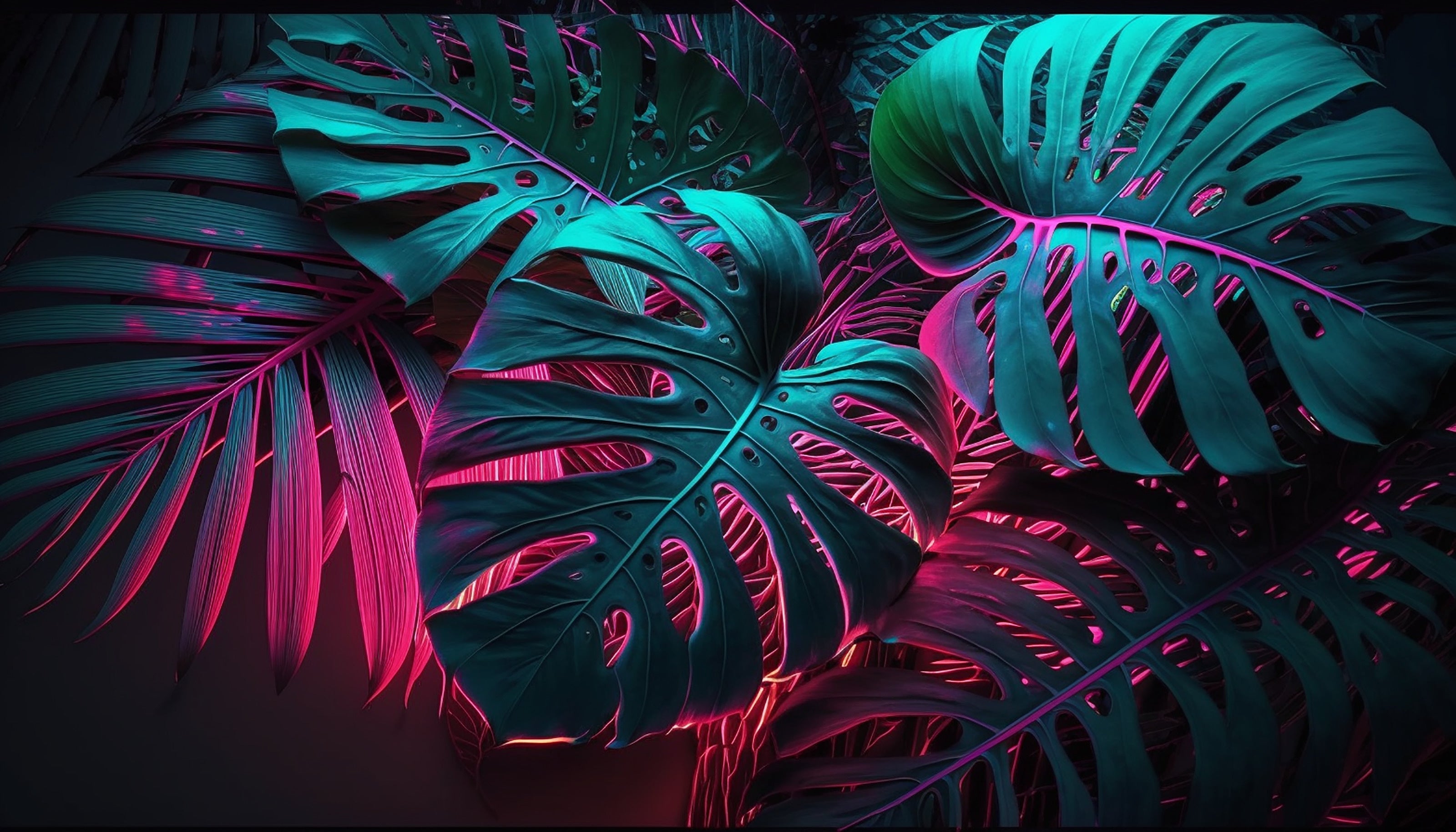 Cute & Aesthetic