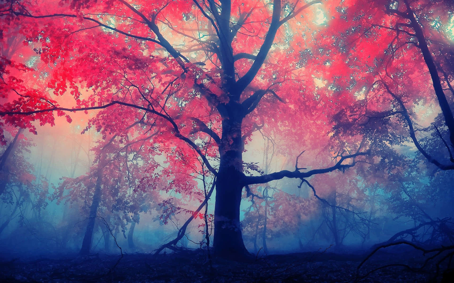 Fall/Halloween
